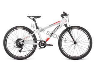 Bicykel DEMA Rocket 24 silver 2023